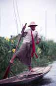 Traditional canoe paddling by leg. Man from Intha tribe. Inle lake. Myanmar (Burma).