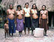 Villagers from Dani tribe. Papua, Indonesia.