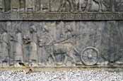 Reliefs at Persepolis. Iran.
