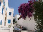 Tunis town. Tunisia .