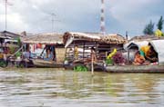 River life in Mekong delta.  Vietnam.