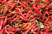 Chilli, Chencha market. South,  Ethiopia.