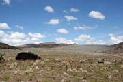 Landscape at Bale Mountain National Park. South,  Ethiopia.