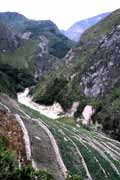 Sweet potato fields. South part of Baliem Valley. Papua, Indonesia.