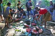 At funeral ceremony. Preparing food for guests. Tana Toraj area. Indonesia.