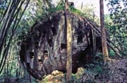 Now graves are made at hills. Tana Toraja area. Sulawesi, Indonesia.