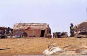 Traditional villages on the banks of Niger river. A lot of houses are temporary only and people is nomads according to climatic season. Mali.