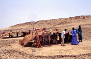 Tuaregs tents. According to their nomad life style their tents are very simple and always ready for transport. Sahara desert. Mali.
