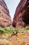 The Olgas (Kata Tjuta). Australia.