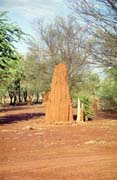 Termits on the way to Northern Territory. Australia.