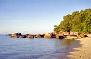 Beach at Fitzoy island. Australia.