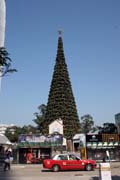 Christmas clelebration. Hong Kong.