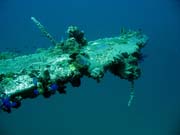 Diving around Togian islands, Kadidiri, plane wreck B24 from the 2nd World War sunken on Mai 3rd, 1945. Sulawesi, Indonesia.