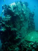 Diving around Togian islands, Kadidiri, plane wreck B24 from the 2nd World War sunken on Mai 3rd, 1945. Sulawesi, Indonesia.
