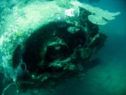 Diving around Togian islands, Kadidiri, plane wreck B24 from the 2nd World War sunken on Mai 3rd, 1945. Sulawesi, Indonesia.