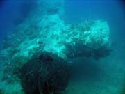 Diving around Togian islands, Kadidiri, plane wreck B24 from the 2nd World War sunken on Mai 3rd, 1945. Sulawesi, Indonesia.