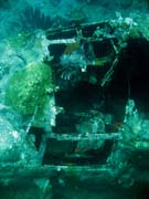 Diving around Togian islands, Kadidiri, plane wreck B24 from the 2nd World War sunken on Mai 3rd, 1945. Sulawesi, Indonesia.