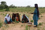 Waiting. On the way to Agadez town. Niger.