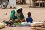 Seller at cattle market at Agadez town. Niger.