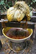 Palm oil pressing. Lobe River. Cameroon.