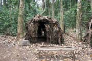 Pygmy village down to the Lobe River. The Pygmy people are forest dwellers, know the forest, its plants and its animals. They live by hunting animals such as antelopes, pigs and monkeys, fishing, and gathering honey, wild yams, berries and other plants. Cameroon.