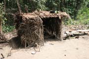 Pygmy village down to the Lobe River. The Pygmy people are forest dwellers, know the forest, its plants and its animals. They live by hunting animals such as antelopes, pigs and monkeys, fishing, and gathering honey, wild yams, berries and other plants. Cameroon.