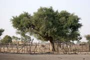 Empty market place. Lake Chad area. Cameroon.
