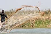 Fisherman. Lake Chad area. Cameroon.