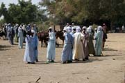 Market at the bank of Chari River. Lake Chad area. Cameroon.