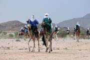 Camel race at traditional tuareg wedding party. Air Mountain area. Niger.