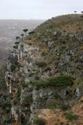 View around Dixam Plateau - Dae'rho Canyon. Socotra (Suqutra) island. Yemen.