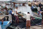 Preparing for sail - net packing. Fish harbor at the edge of Al-Hudayda town. Yemen.