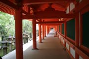 Kasuga Grand shrine, Nara. Japan.