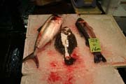 Tsukiji fish market, Tokyo. Japan.