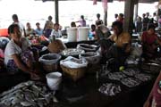 Fish market, Sittwe town. Myanmar (Burma).