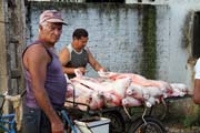 Morning market, Camaguey. Cuba.