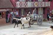 Zebu cart, Ambohimanga village. Madagascar.
