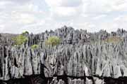 Grands Tsingy, Tsingy de Bemaraha National park. Madagascar.