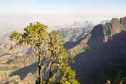 Simien mountains. Around Sankaber camp. Ethiopia.