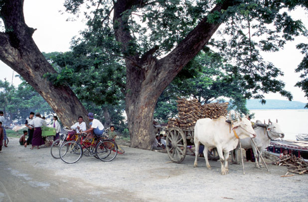 Near river Ayeyarwady at Mandalay. Myanmar (Burma).