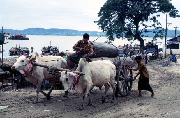 Near river Ayeyarwady at Mandalay. Myanmar (Burma).