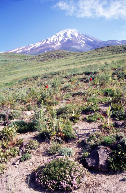Mt Damavand - the highest mountain of Iran. Iran.