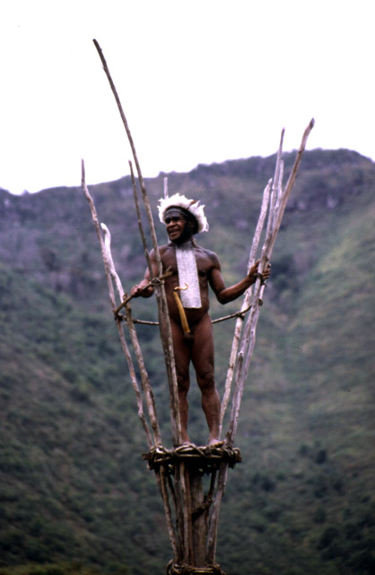 Villager from Dani tribe. Papua,  Indonesia.