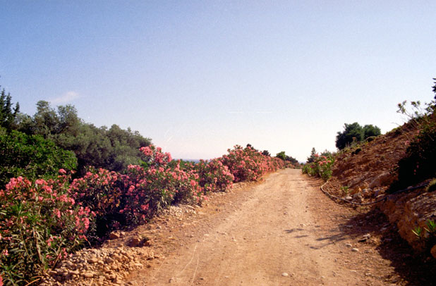 Coast. Crete. Greece.
