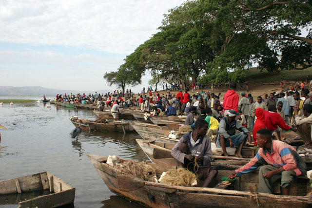 Fish market, Awasa lake. South,  Ethiopia.
