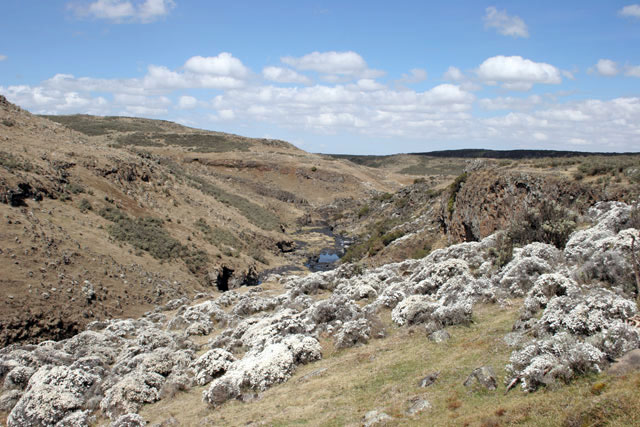 Bale Mountain National Park. South,  Ethiopia.