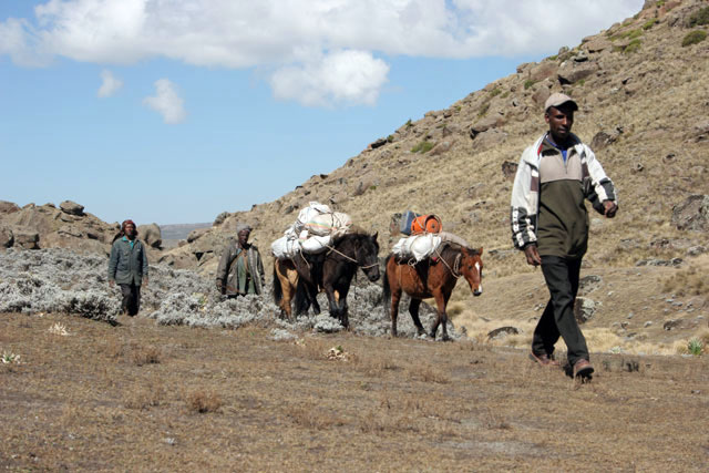 Bale Mountain National Park. South,  Ethiopia.