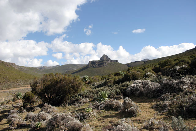 Bale Mountain National Park. South,  Ethiopia.
