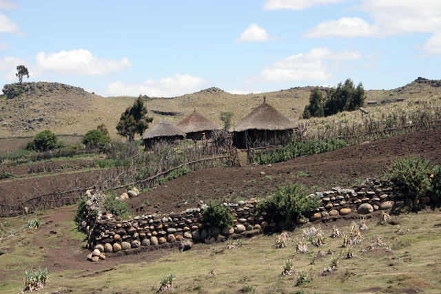 Bale Mountain National Park. South,  Ethiopia.