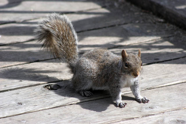 Loring Park, Minneapolis, Minnesota. United States of America.
